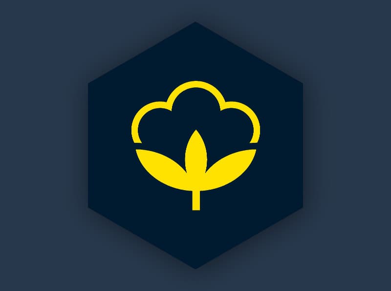 bci