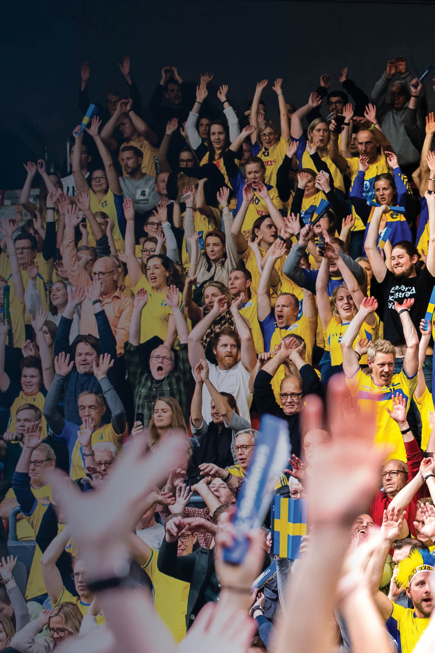 handbolls-VM-header_mobil